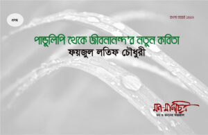 Read more about the article পান্ডুলিপি থেকে জীবনানন্দ’র নতুন কবিতা/ ফয়জুল লতিফ চৌধুরী